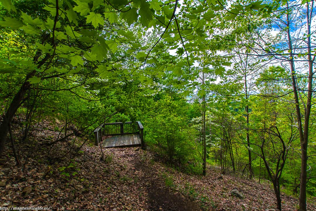 Red Casino Trail Going Down